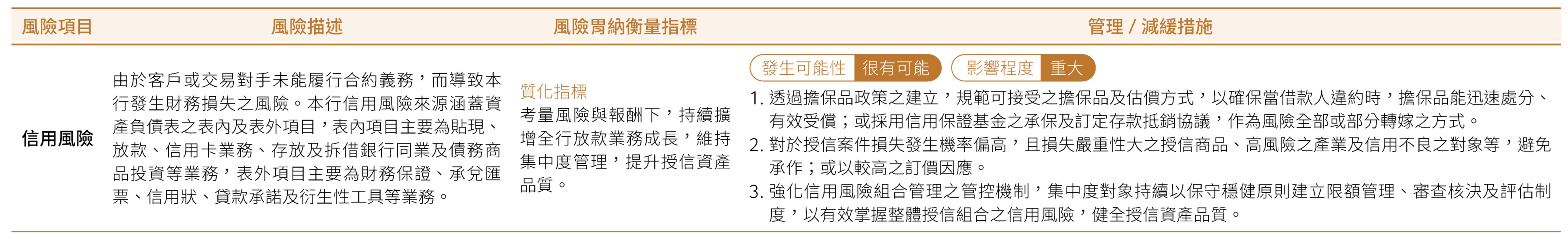 重大性風險項目