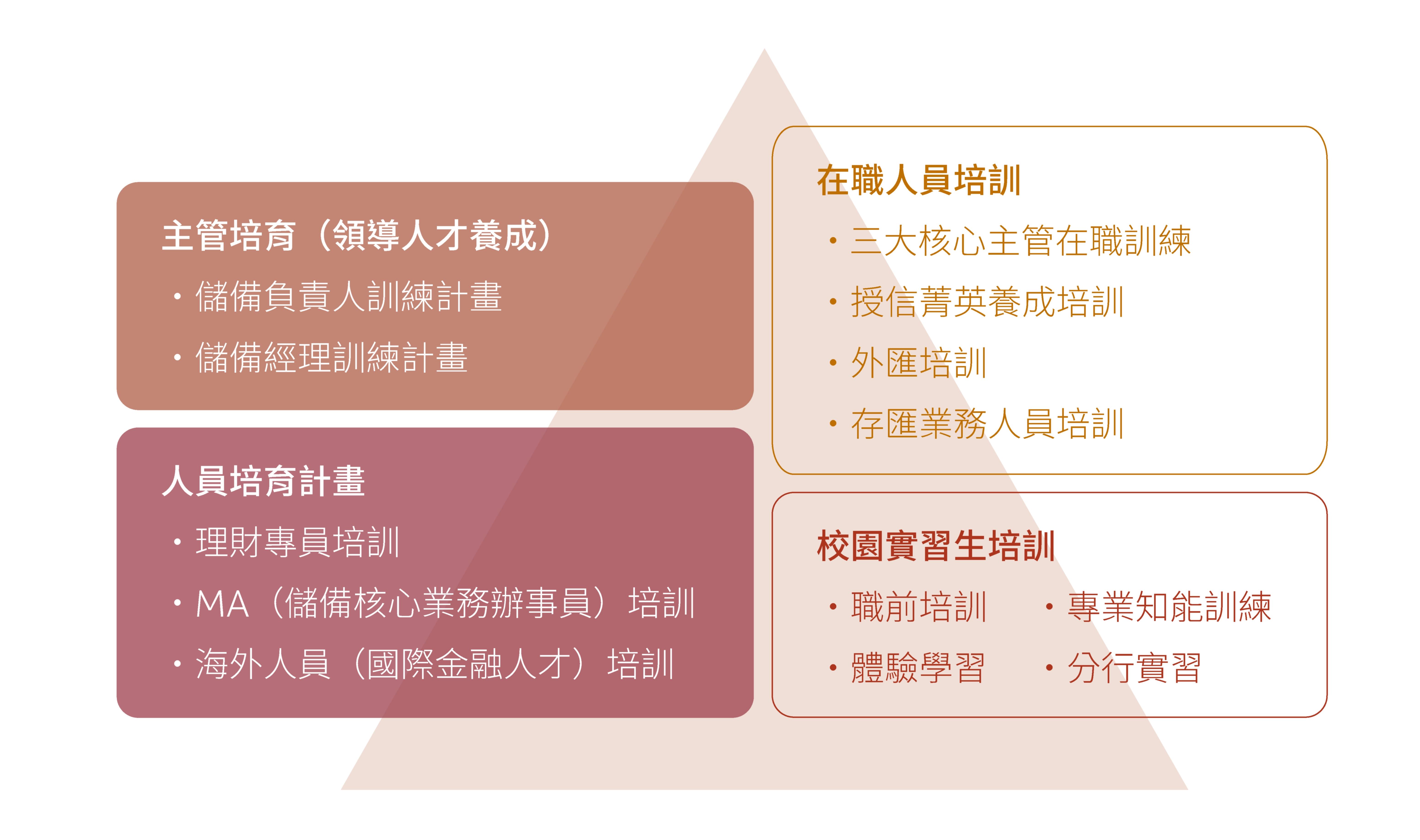 專業人才培育計劃