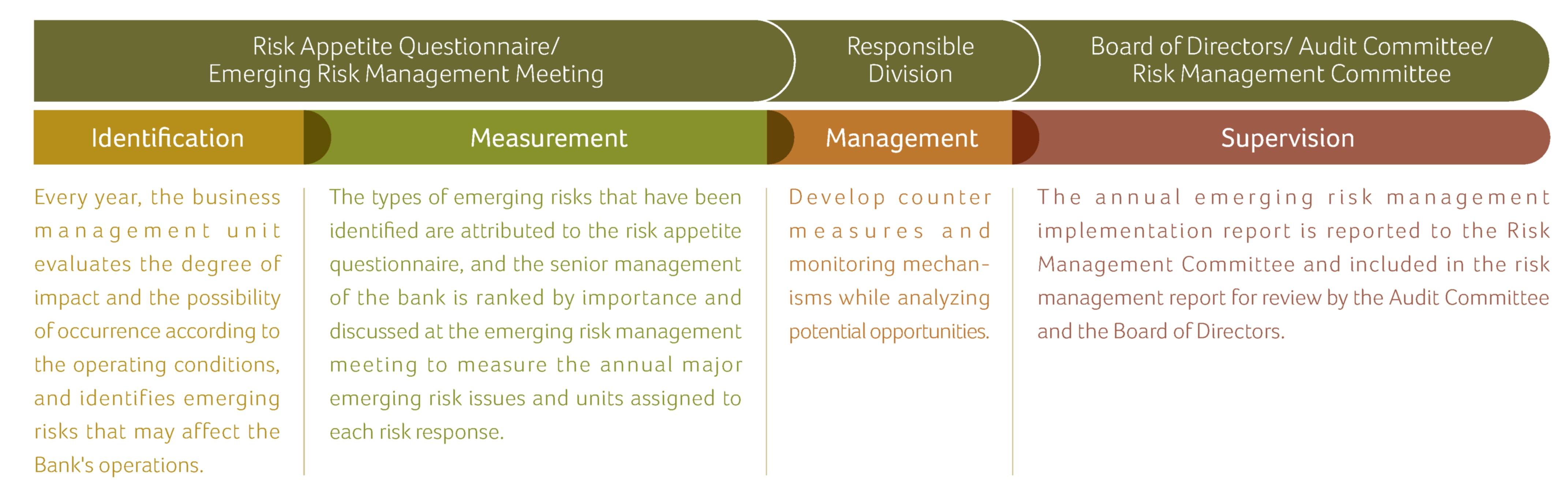 Emerging Risk Management